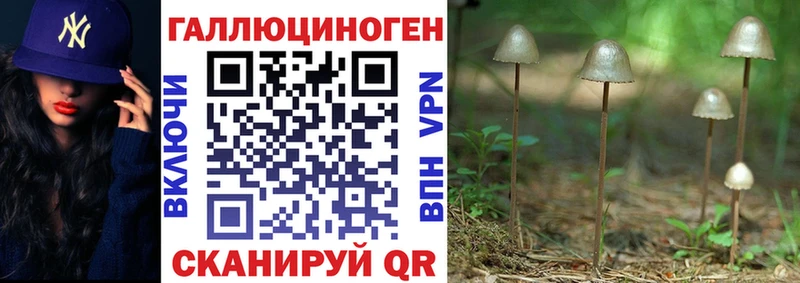 Псилоцибиновые грибы Psilocybine cubensis Купить Подпорожье
